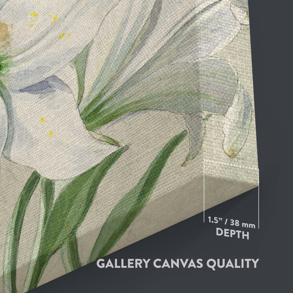 Yellow and White Lilies - Elegant 18th Century Florals By William van Leen canvas wall art - Image 3