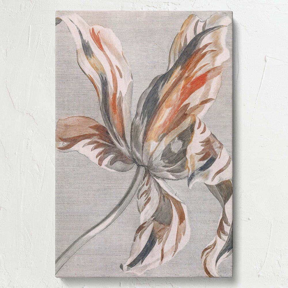 Tulip - Detailed Dutch Botanical Line Art By Johan Teyler canvas wall art - Image 7