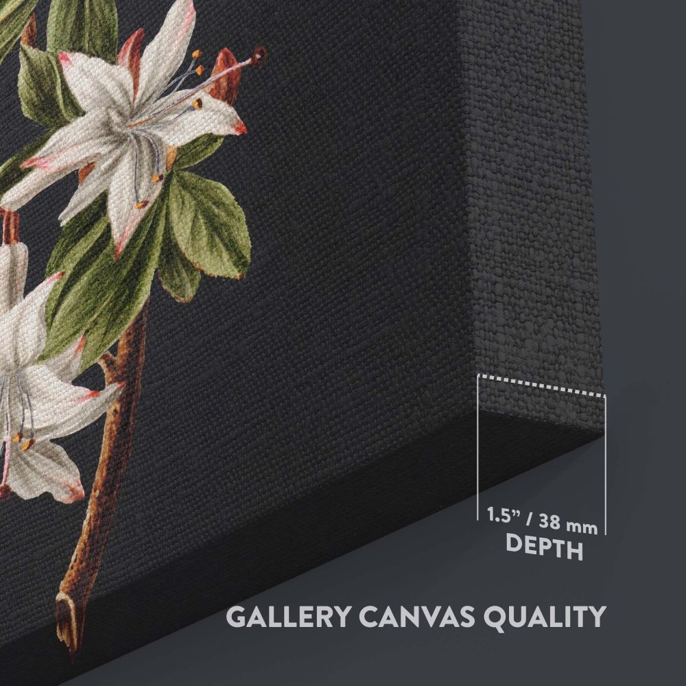 Branch of Azaleas in Bloom - White Flowers with Red Tips By M. de Gijselaar canvas wall art - Image 3