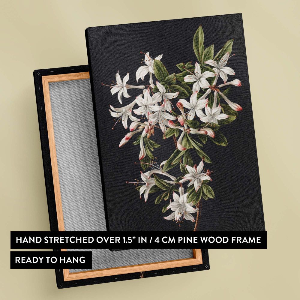 Branch of Azaleas in Bloom - White Flowers with Red Tips By M. de Gijselaar canvas wall art - Image 6