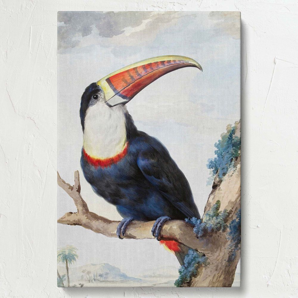 Red-Billed Toucan - Exotic Bird Perched in Tree By Aert Schouman canvas wall art - Image 7
