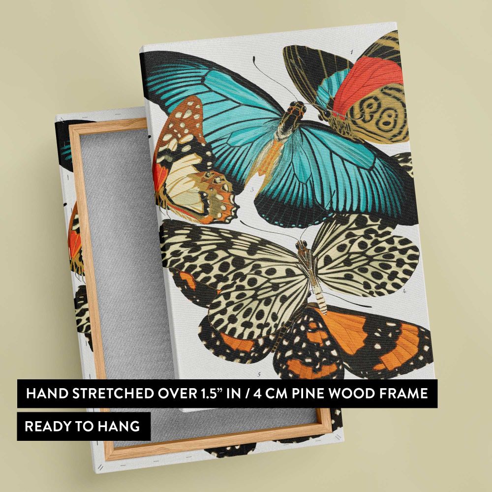 Vintage Butterfly Collection canvas print, front and back view