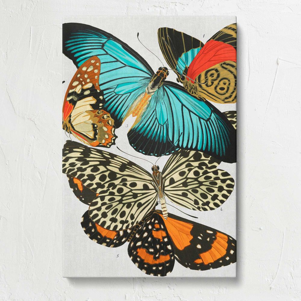 Vintage Butterfly Collection canvas print, front view