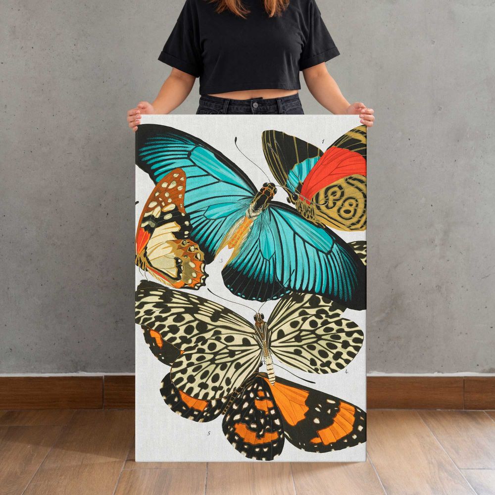 Vintage Butterfly Collection canvas print, held for scale