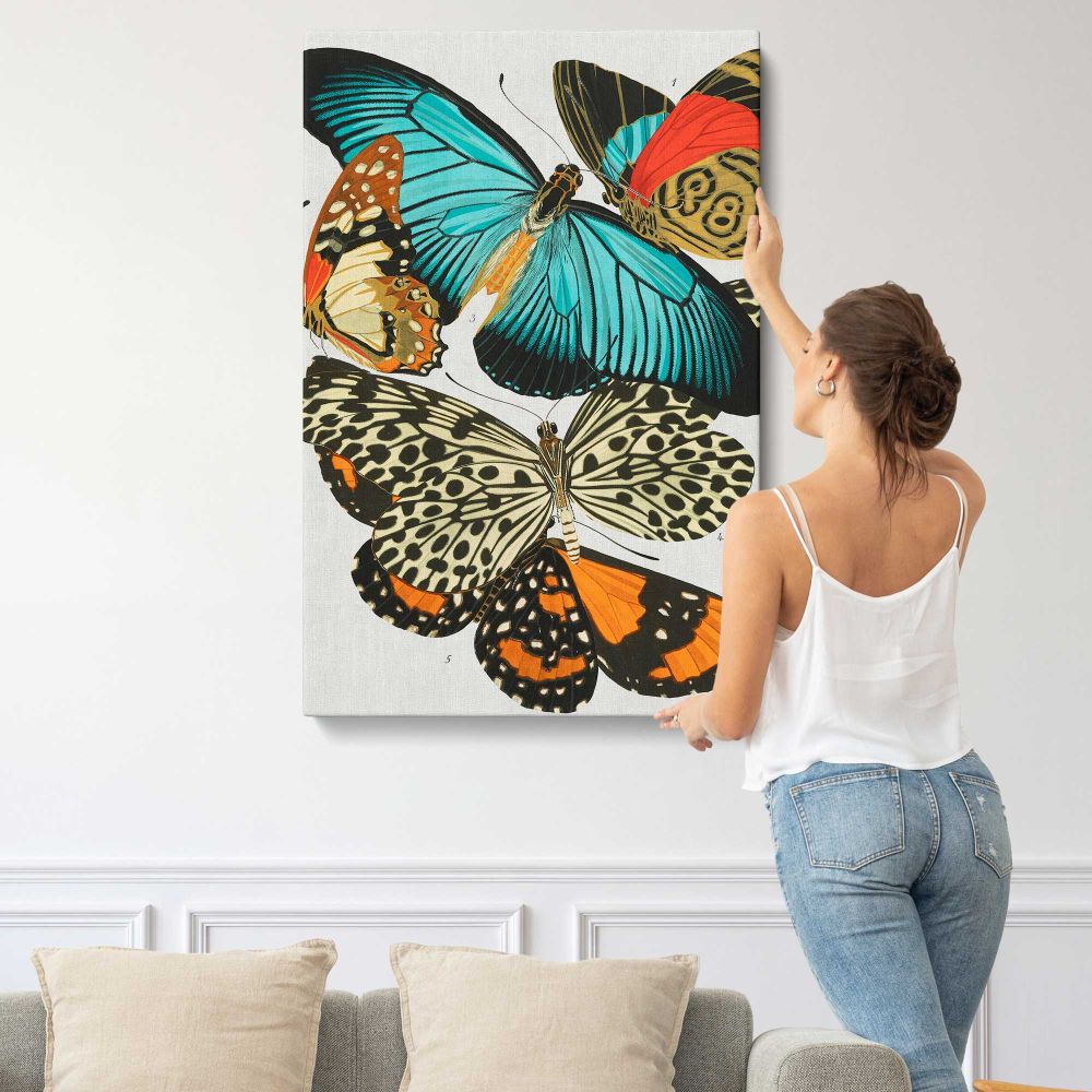 Vintage Butterfly Collection canvas print, displayed on a wall