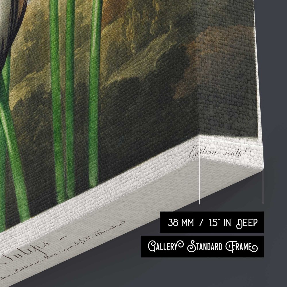 Tulips from The Temple of Flora by Robert John Thornton canvas print, canvas edge detail