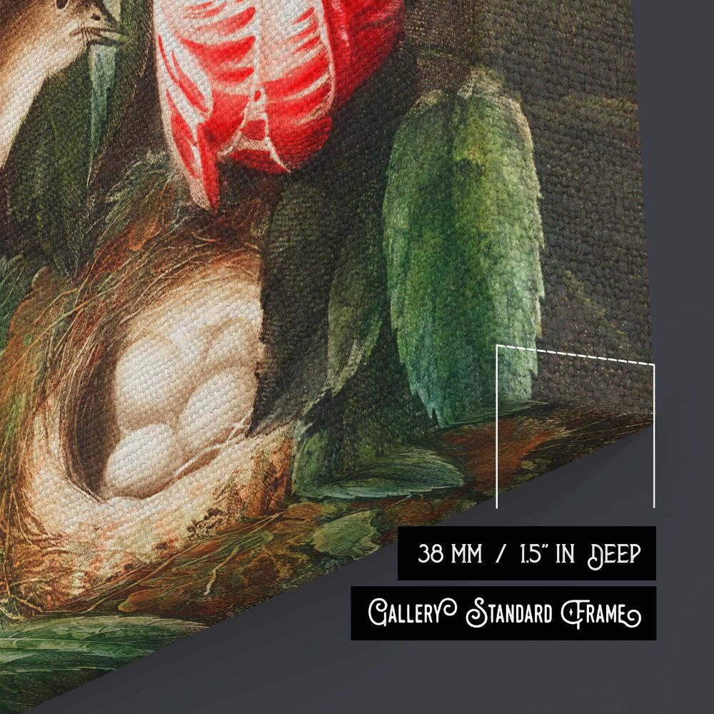 Roses from The Temple of Flora by Robert John Thornton canvas print, canvas edge detail