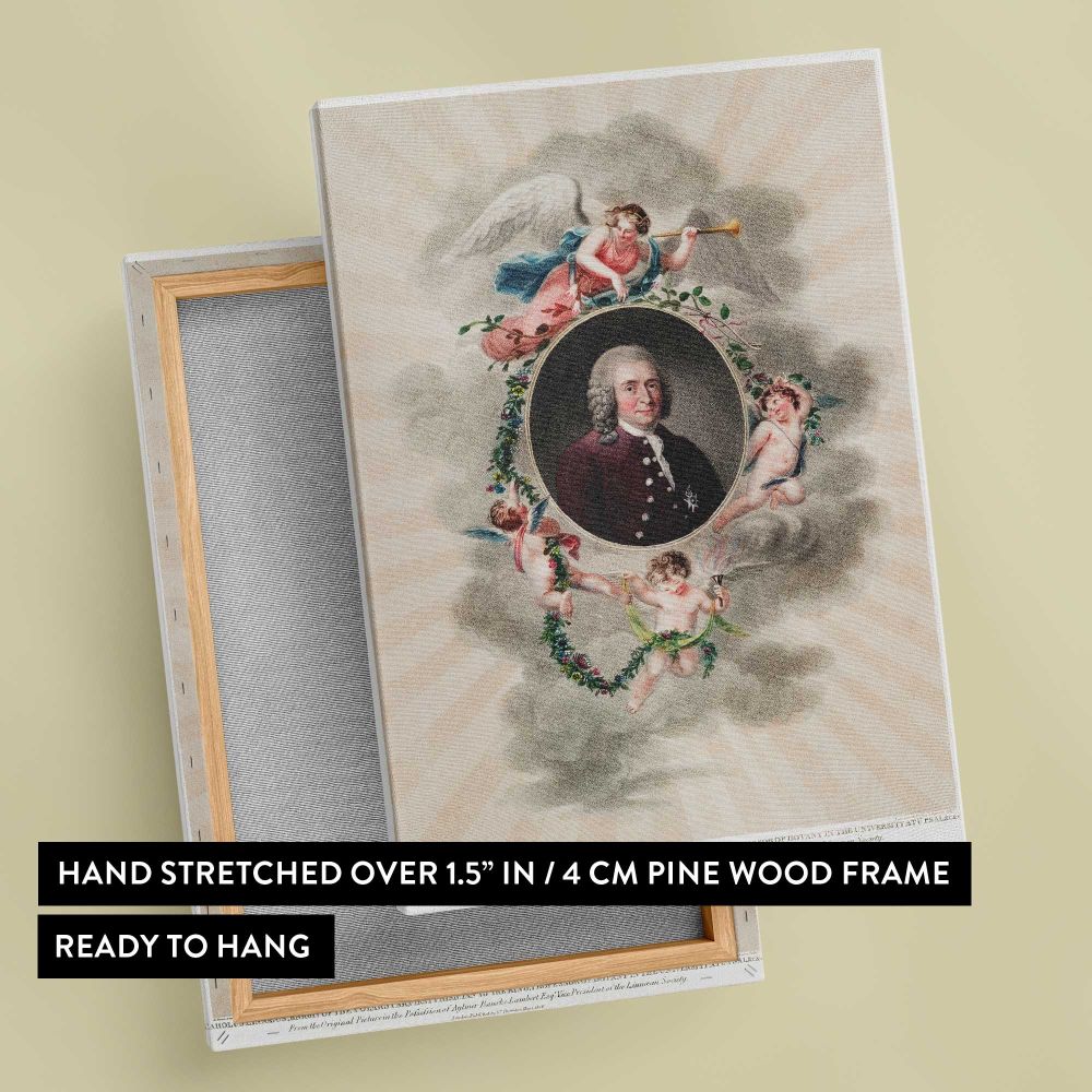 Portrait of Carl Linnaeus by Robert John Thornton canvas print, front and back view
