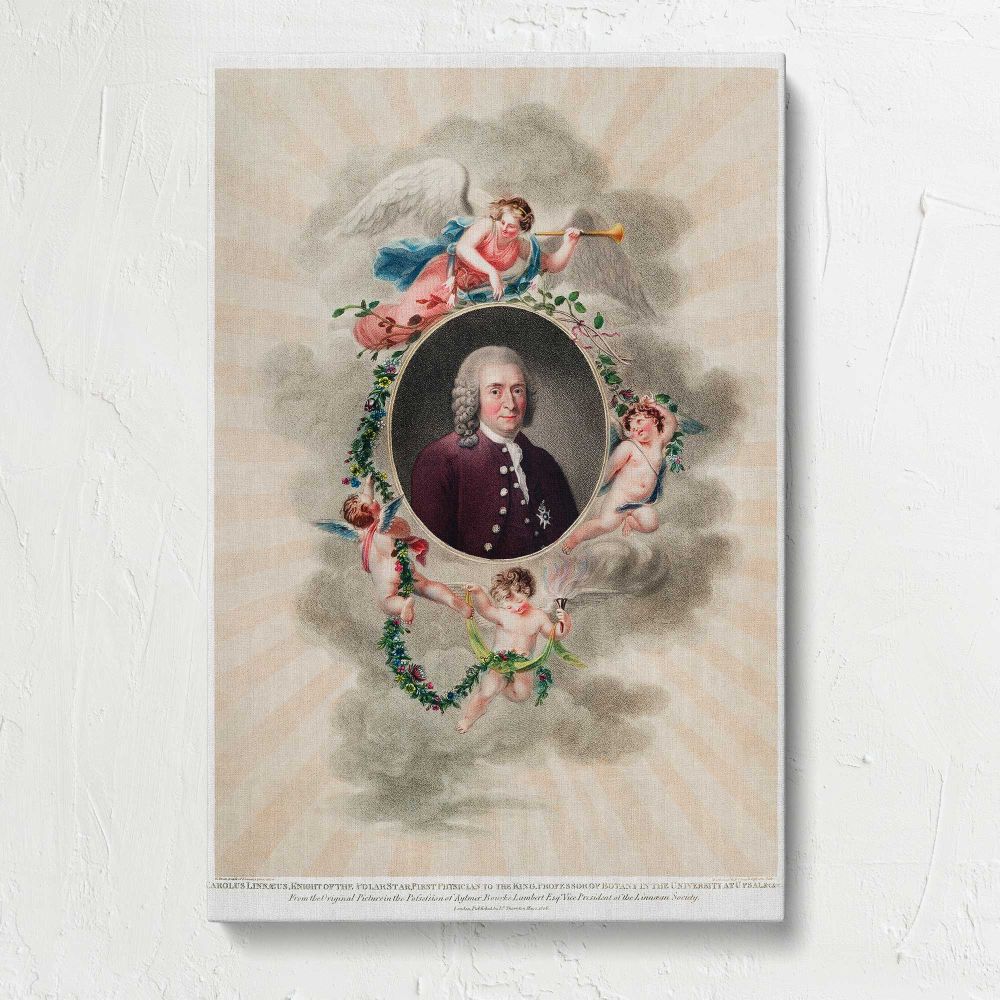 Portrait of Carl Linnaeus by Robert John Thornton canvas print, front view