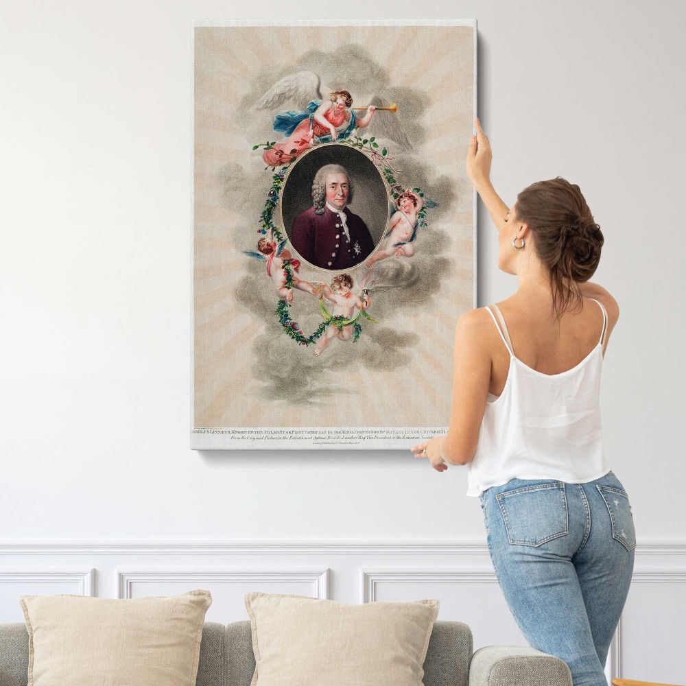 Portrait of Carl Linnaeus by Robert John Thornton canvas print, displayed on a wall