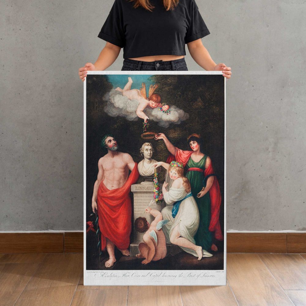 Flora Aesculapius Ceres and Cupid Honouring Linnaeus by Robert John Thornton canvas print, held for scale
