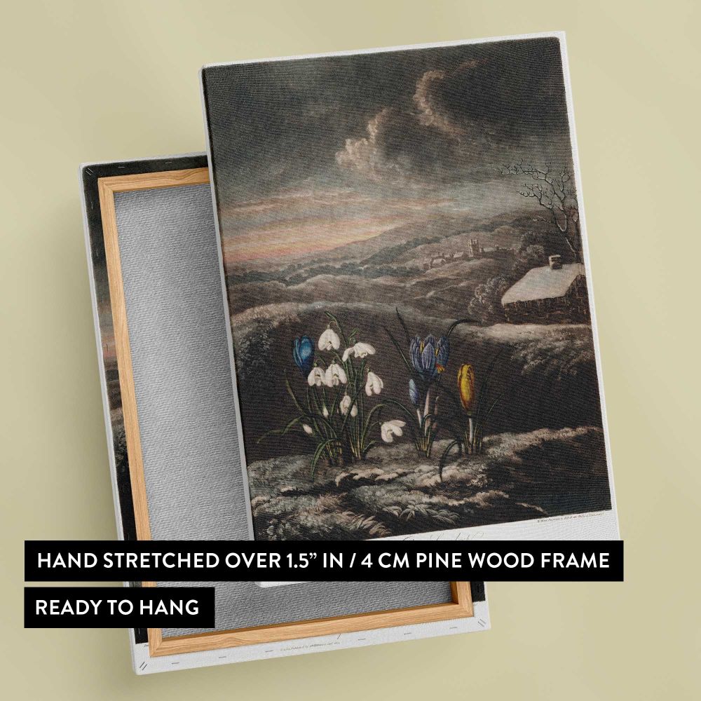 Snowdrops from The Temple of Flora by Robert John Thornton canvas print, front and back view