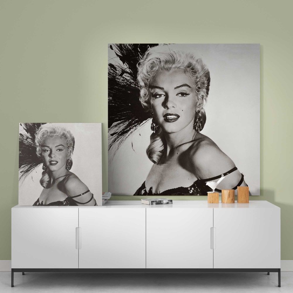 Marilyn Monroe - River of No Return Photoshoot 1954 — styled composition view
