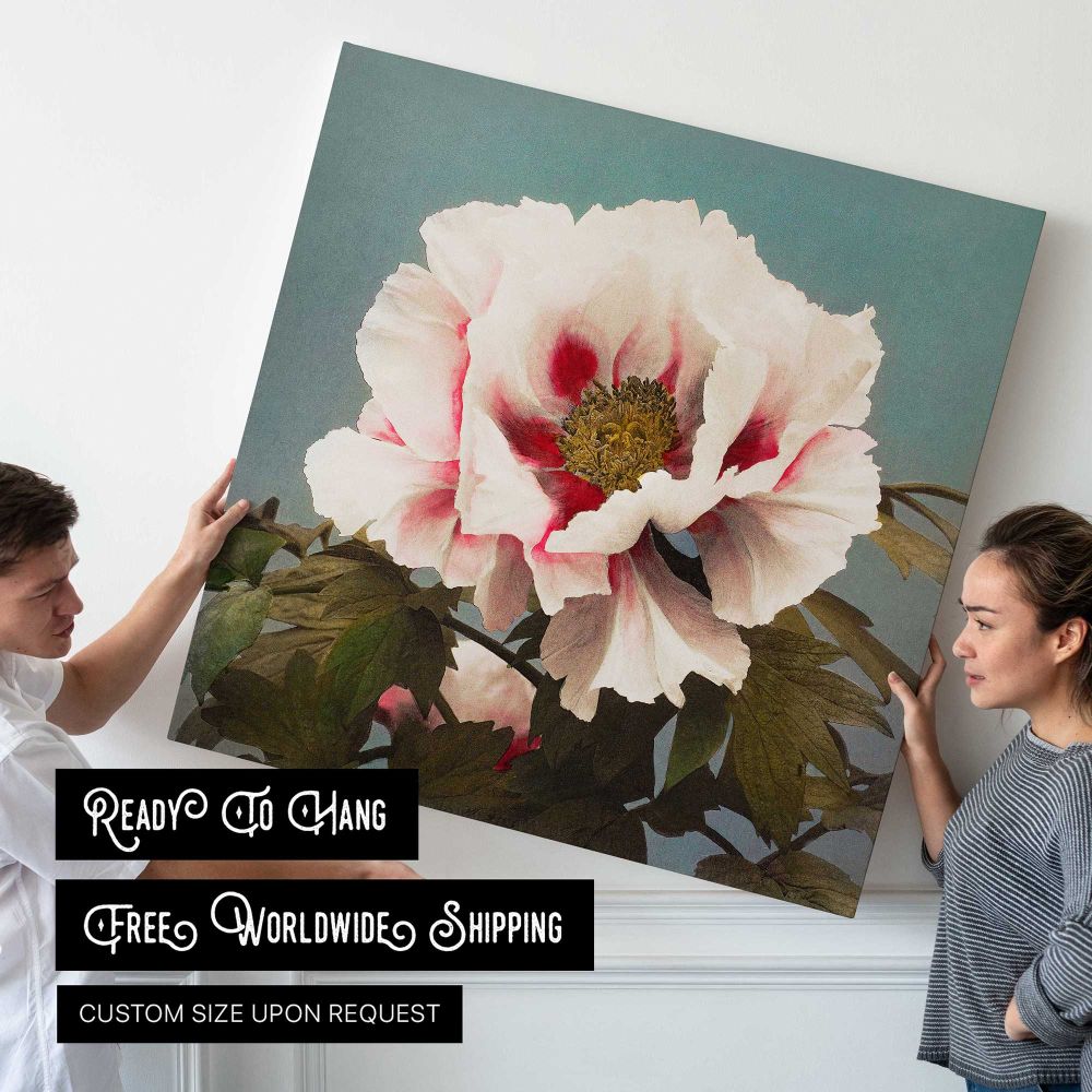 Tree Peony, hand–colored collotype from Some Japanese Flowers (1896) by Kazumasa Ogawa — room mockup view 4