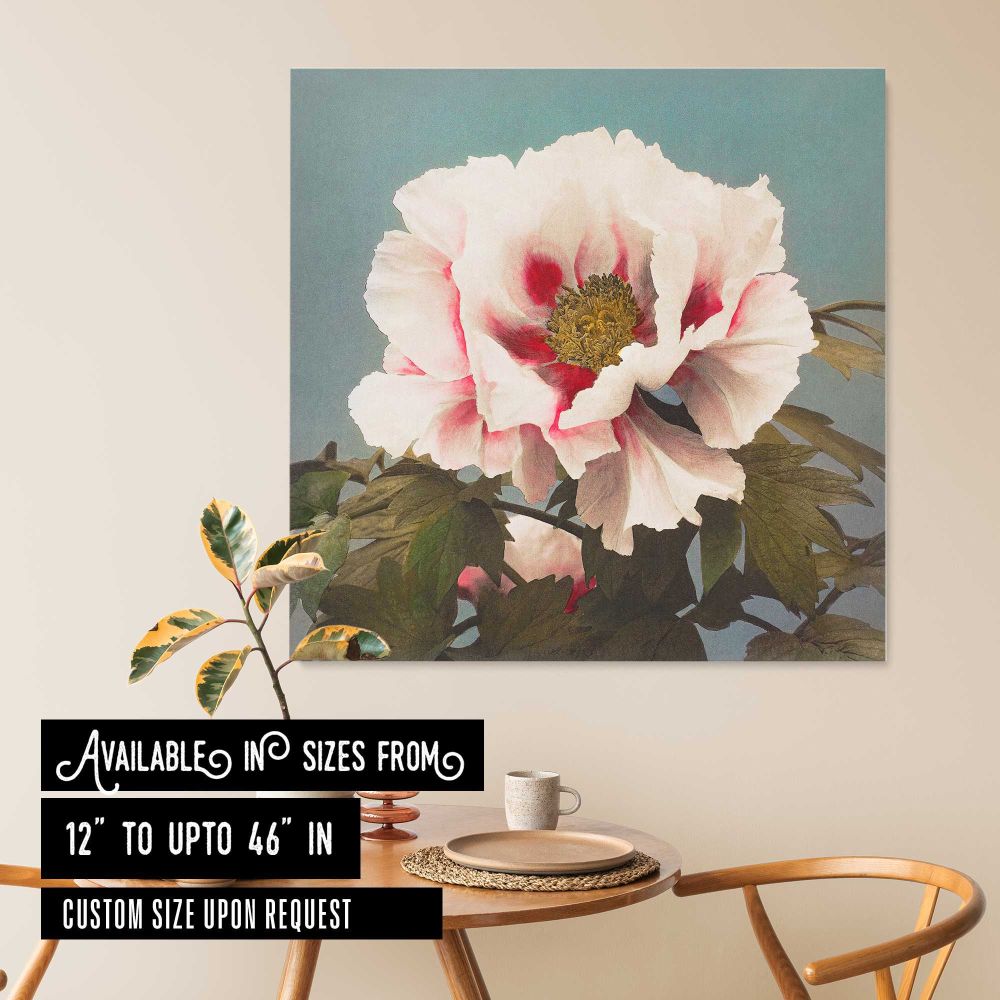 Tree Peony, hand–colored collotype from Some Japanese Flowers (1896) by Kazumasa Ogawa — room mockup view 6