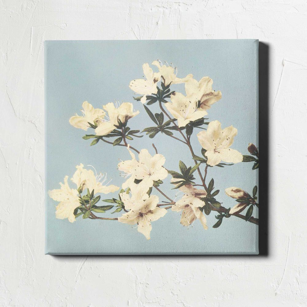 Vintage Japanese azaleas illustration wall art — room mockup view 1