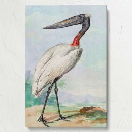 Jabiru - Serene Long-Legged Bird in Landscape By Aert Schouman 