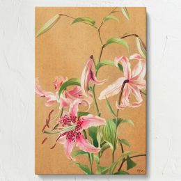 Lilies - Pink Botanical Flowers on Beige By L. Prang & Co. 