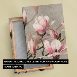 Magnolia - Soft Pink Blossoms on Gray Background By L. Prang & Co. 