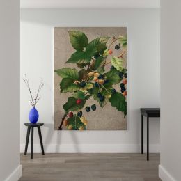 Blackberries - Ripe Botanical Berries Print By L. Prang & Co. 