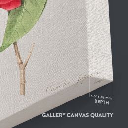 Red Rose - Lush Botanical Illustration with Leaves By Pierre-Joseph Redout