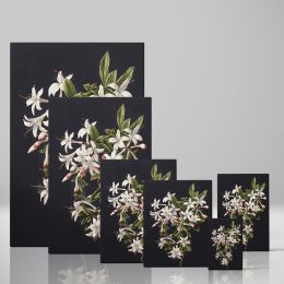 Branch of Azaleas in Bloom - White Flowers with Red Tips By M. de Gijselaar 