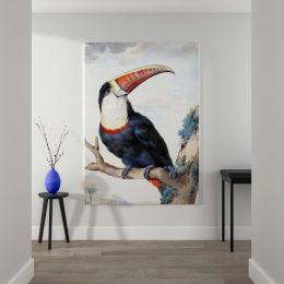 Red-Billed Toucan - Exotic Bird Perched in Tree By Aert Schouman 