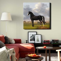 Adriaan van der Hoop's Trotter 'De Vlugge' (The Fast One) in a Meadow (1828) by Anthony Oberman Square Canvas Wall Art