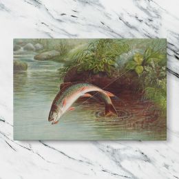 Leaping Brook Trout by Samuel Kilbourne Canvas Wall Art Print