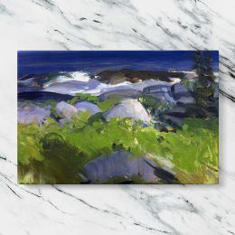 Vine Clad Shore on Monhegan Island Canvas Wall Art Print