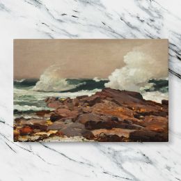 Summer Squall by Winslow Homer Canvas Wall Art Print