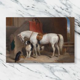 White Horse and Dogs in a Stable Canvas Wall Art Print