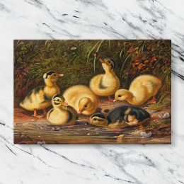 Ducklings in a Woodland Nest Canvas Wall Art Print