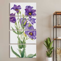 Eustoma russelianum 1930 by Mary Vaux Walcott Canvas Wall Art Print