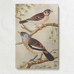 Two Birds on Branches by Theo van Hoytema Canvas Print