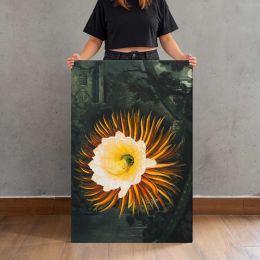 The Night-Blowing Cereus by Robert John Thornton Canvas Print