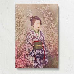 Geisha with Cherry Blossoms by Ogawa Kazumasa Canvas Print