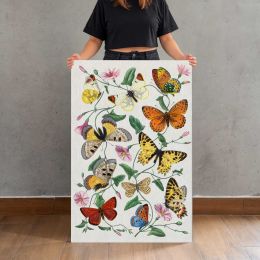 Butterfly and Moth Collection Canvas Print