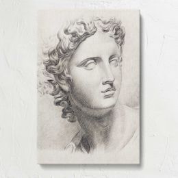 Classical Male Head Drawing by Johannes Tavenraat Canvas Print