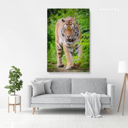 Tiger Canvas Wild Animals Photography Canvas Wall Art