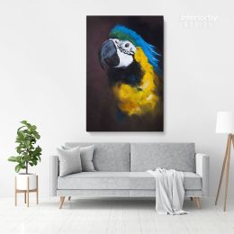 Bird Psittacidae Parrot Original Pastel Painting Posters Print Canvas with Frame