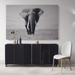 Black and White Elephants Photography Canvas Wall Art