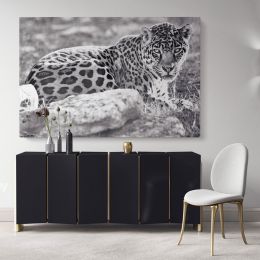 Large Tiger Black and White Photography Canvas Wall Art