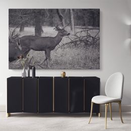 Reindeer Black and White Photography Canvas Wall Art