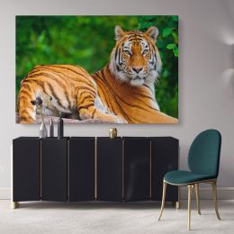 Large Tiger Canvas Photography Canvas Wall Art
