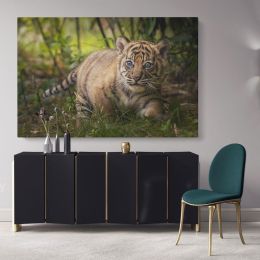 Tiger Cub Canvas Photography Canvas Wall Art