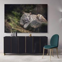 White Tiger Canvas Photography Canvas Wall Art