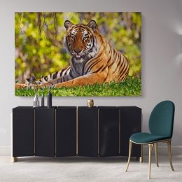 Large Tiger wall art Wild Animals Canvas Wall Art