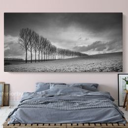 Panoramic Black and White Photography Canvas Wall Art