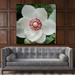 White Magnolia Flower Canvas Wall Art